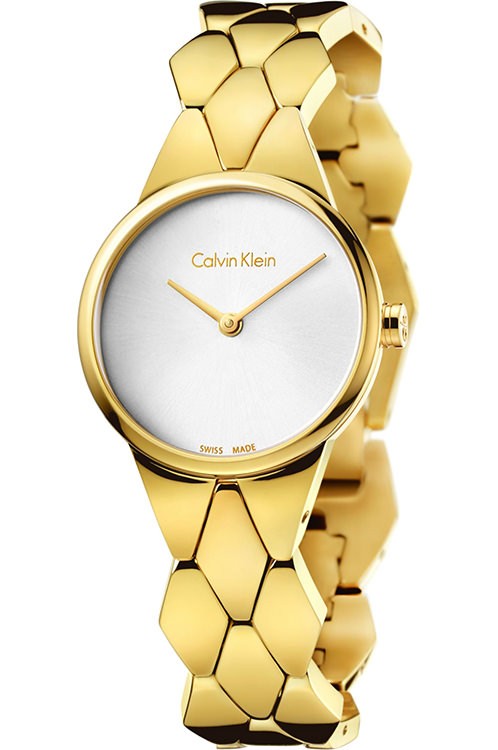 Calvin Klein Watch