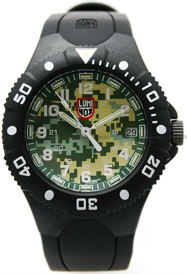 Luminox Watch