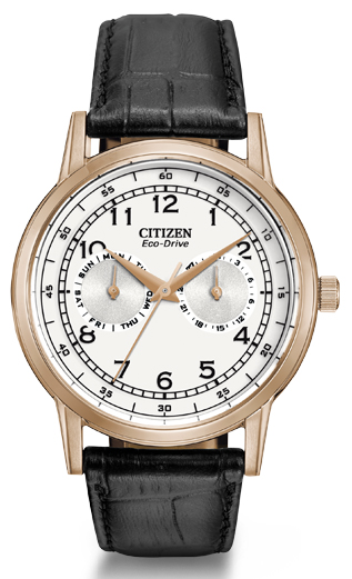Citizen Watch