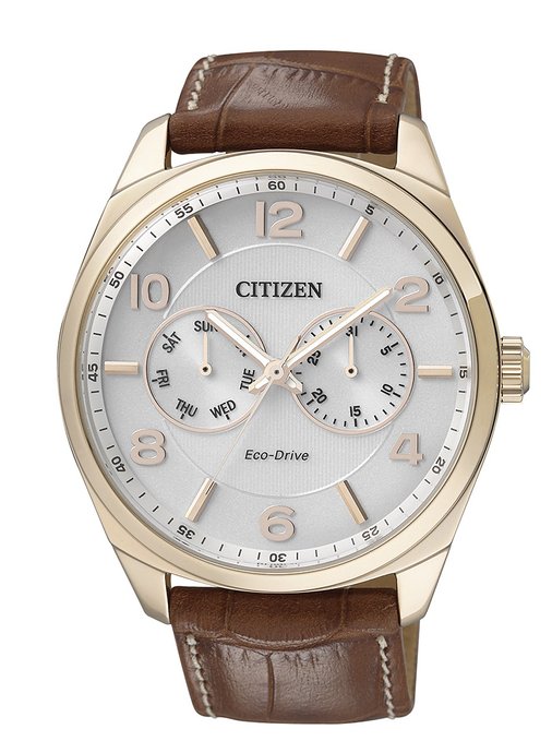 Citizen Watch