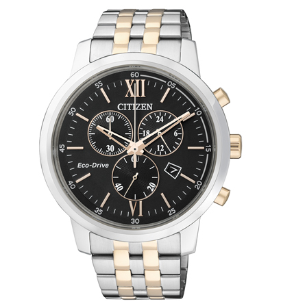 Citizen Watch
