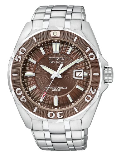Citizen Watch