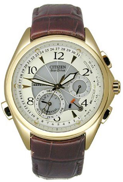 Citizen Watch