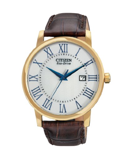Citizen Watch