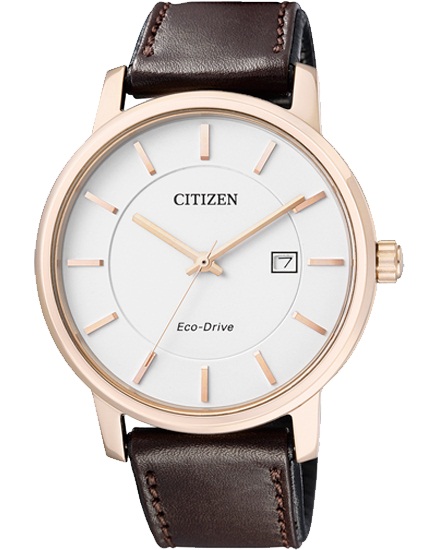 Citizen Watch