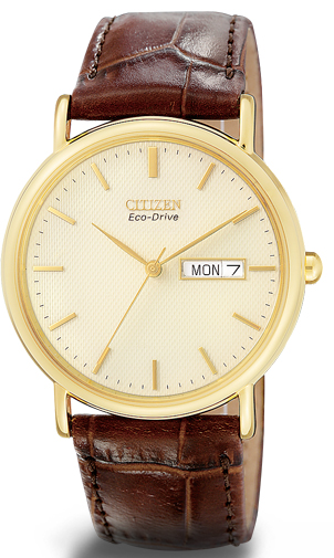 Citizen Watch