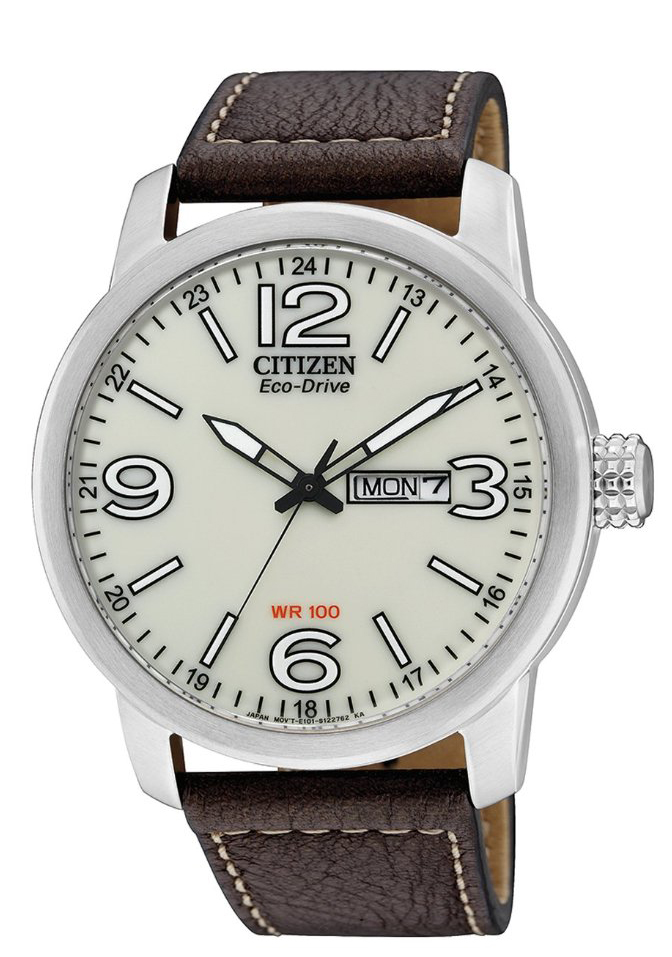 Citizen Watch