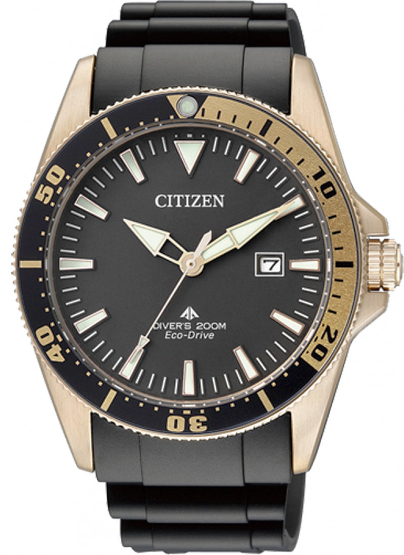 Citizen Watch