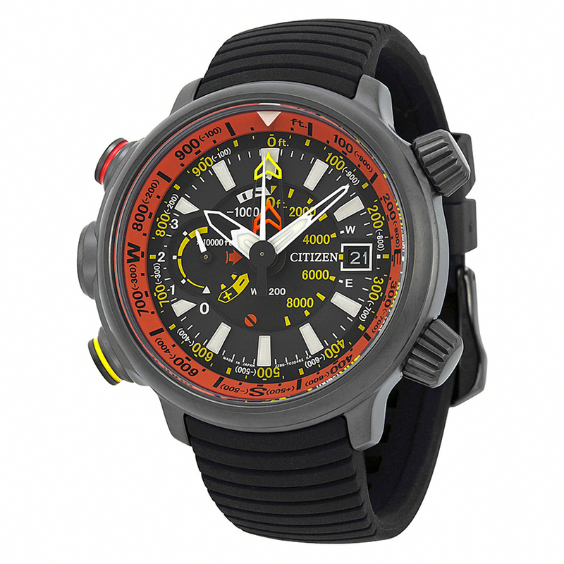 Citizen Watch