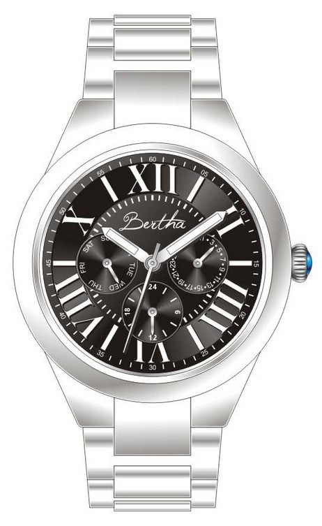 Bertha Watch