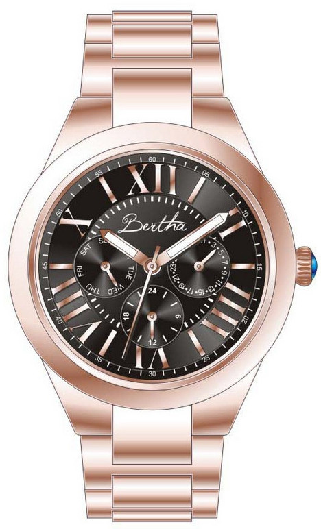 Bertha Watch
