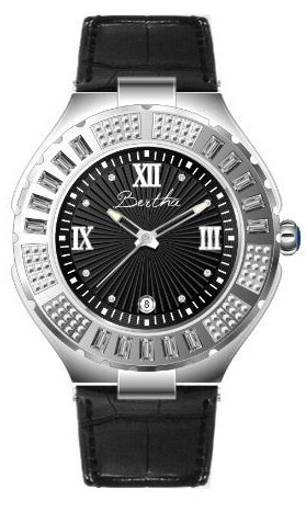 Bertha Watch