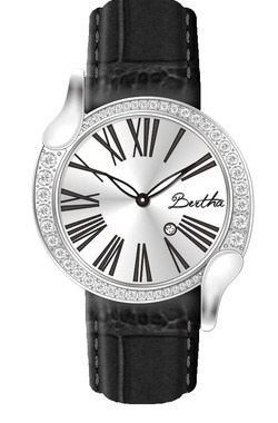 Bertha Watch