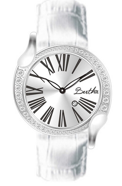 Bertha Watch