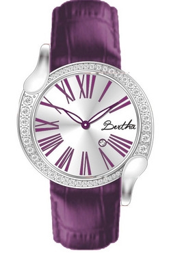 Bertha Watch