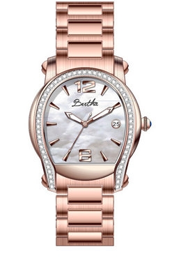 Bertha Watch