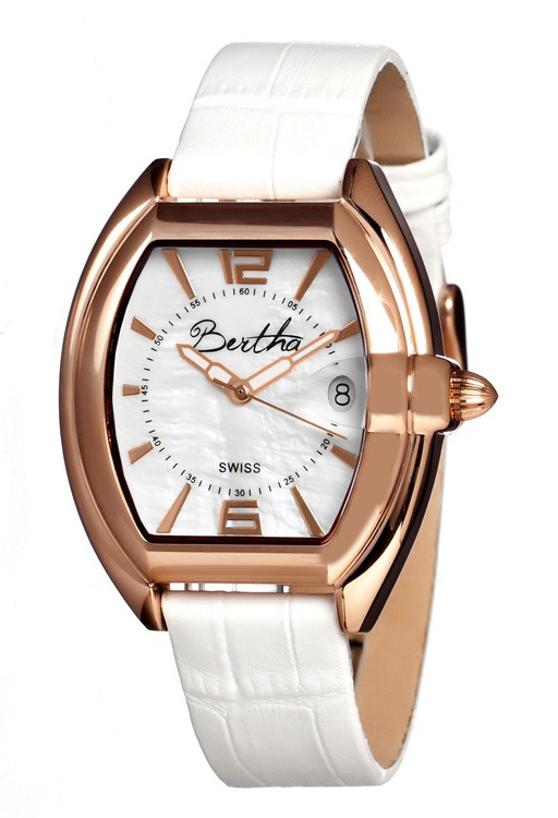 Bertha Watch