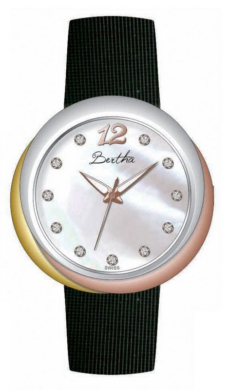 Bertha Watch
