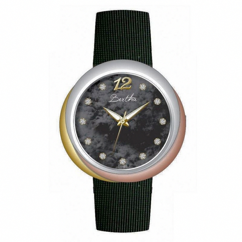 Bertha Watch