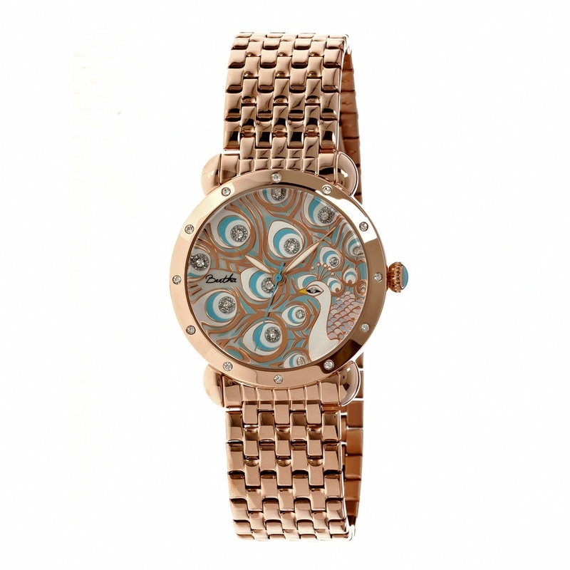 Bertha Watch