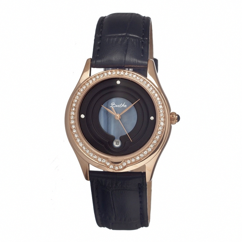 Bertha Watch