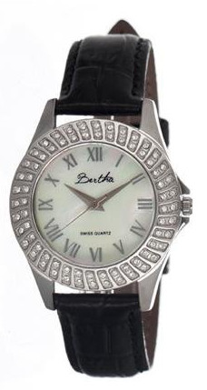 Bertha Watch