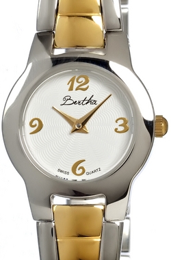 Bertha Watch