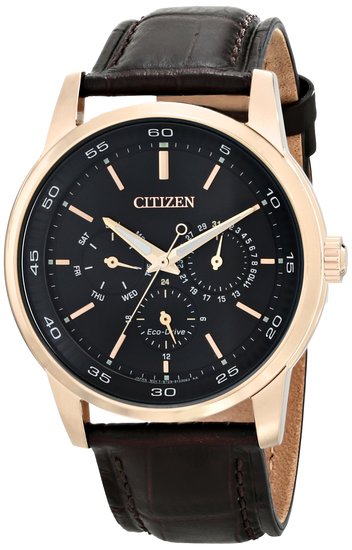 Citizen Watch