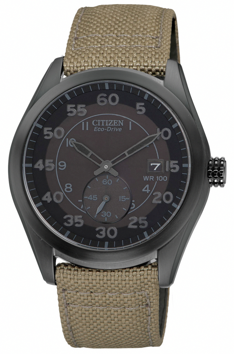 Citizen Watch