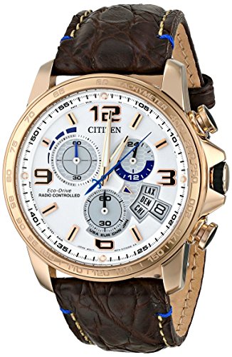 Citizen Watch
