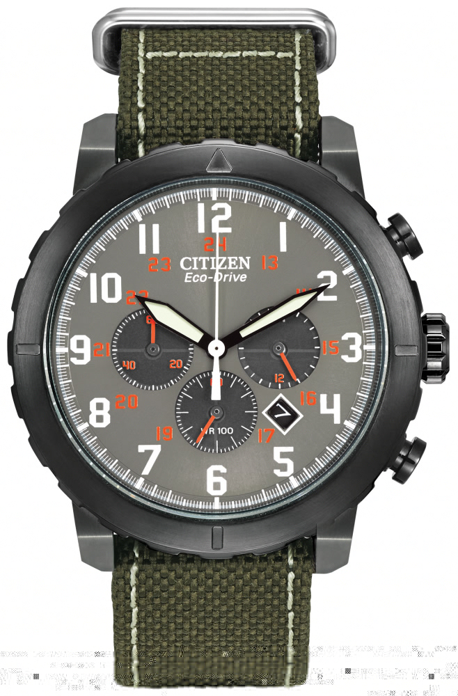Citizen Watch