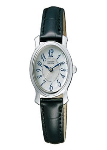 Citizen Japan Domestic Watch