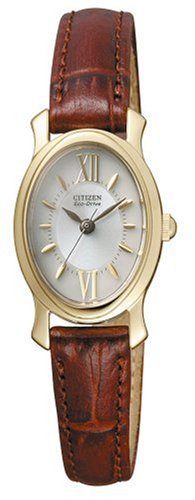 Citizen Japan Domestic Watch