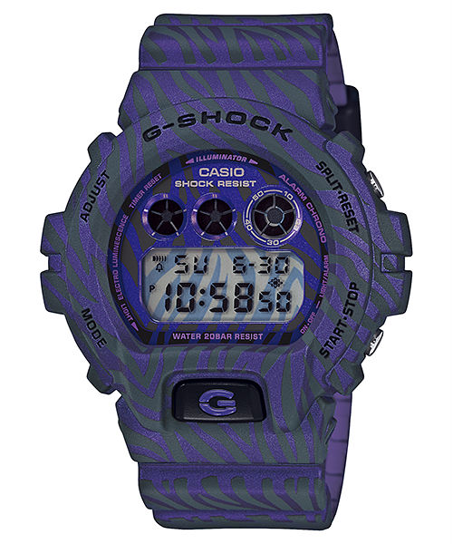 Casio Watch