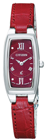 Citizen Watch