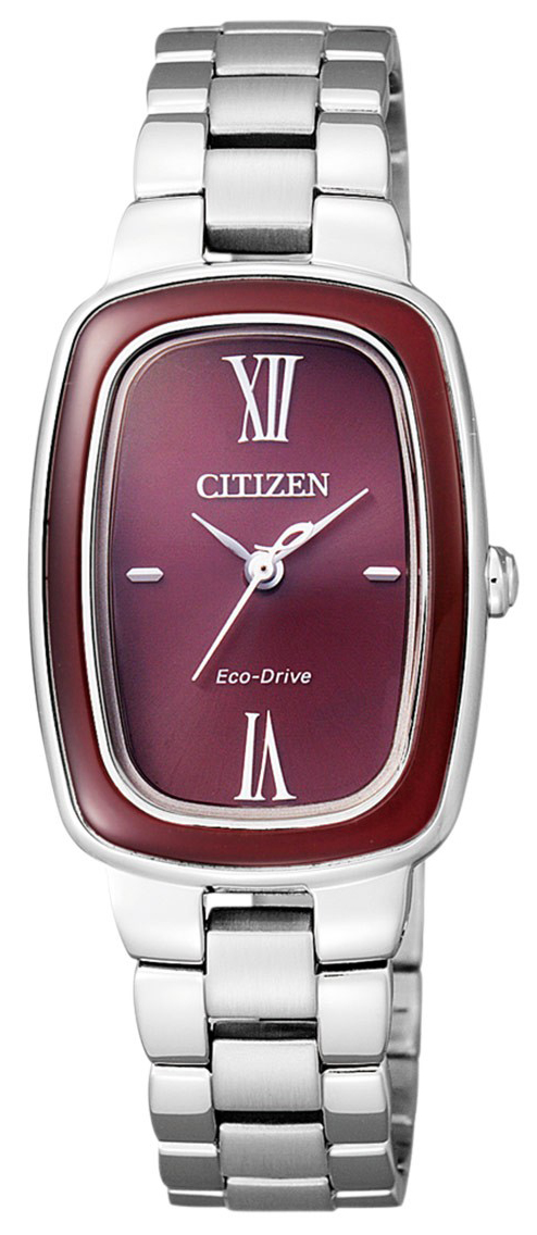 Citizen Watch