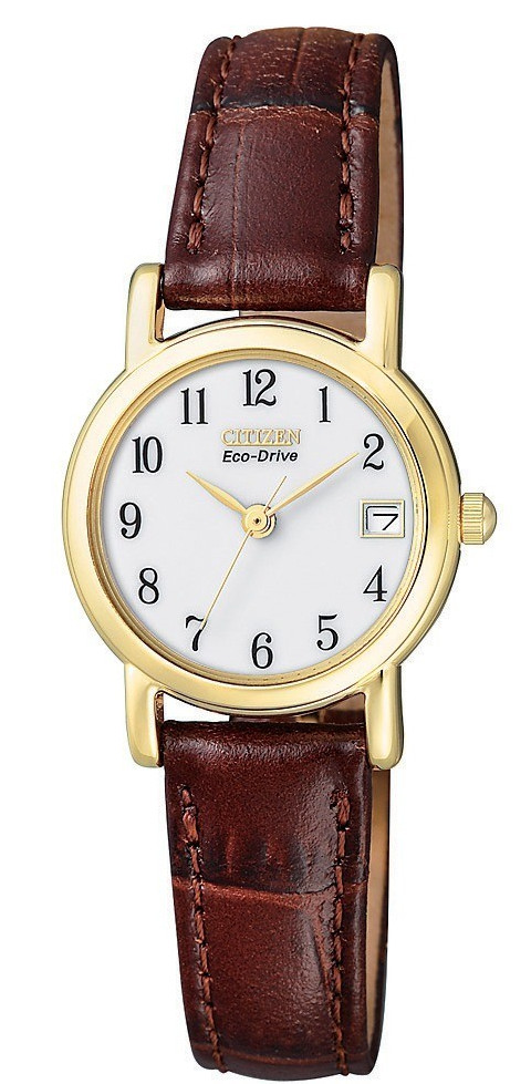 Citizen Watch