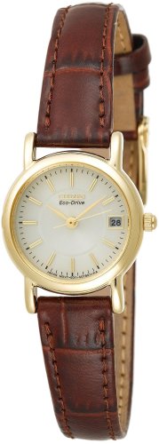 Citizen Watch