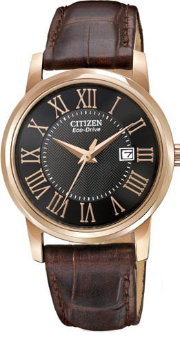 Citizen Watch