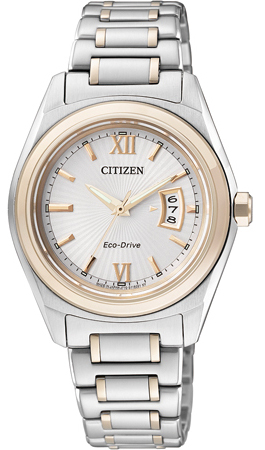 AAA 1:1 Replica Citizen-Eco-drive Ladies Watches Silver Dial Eco Drive 31MM FE1054-51A Watch