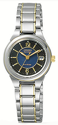 Citizen Japan Domestic Watch