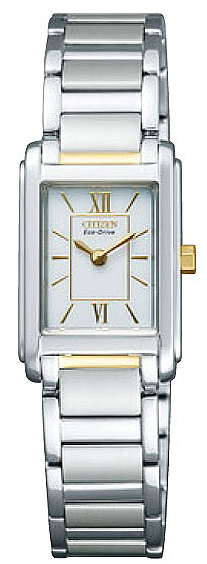 Citizen Japan Domestic Watch