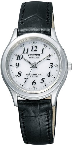 Citizen Japan Domestic Watch
