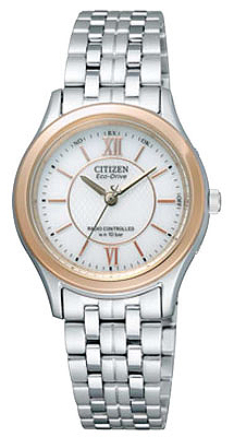 Citizen Japan Domestic Watch