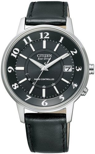 Citizen Japan Domestic Watch