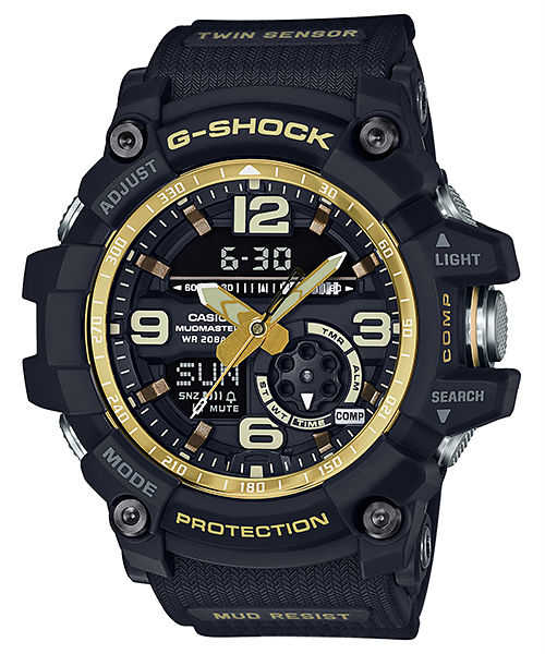 Casio Watch