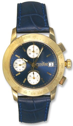 Condor Watch
