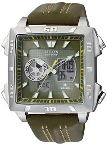Citizen Watch