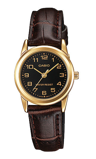 Casio Watch