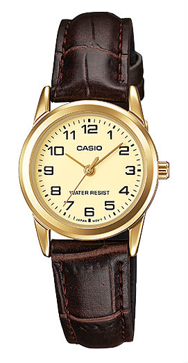 Casio Watch